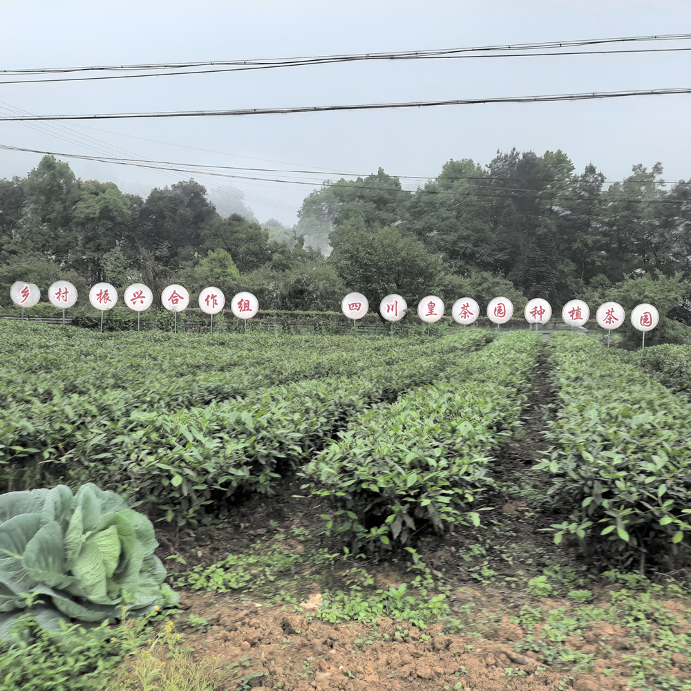 1626660496407363.jpg 1111_r1_c1.jpg